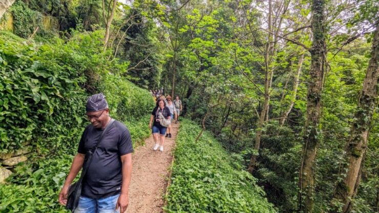 Hike to Sintras Highlights! - Good To Know