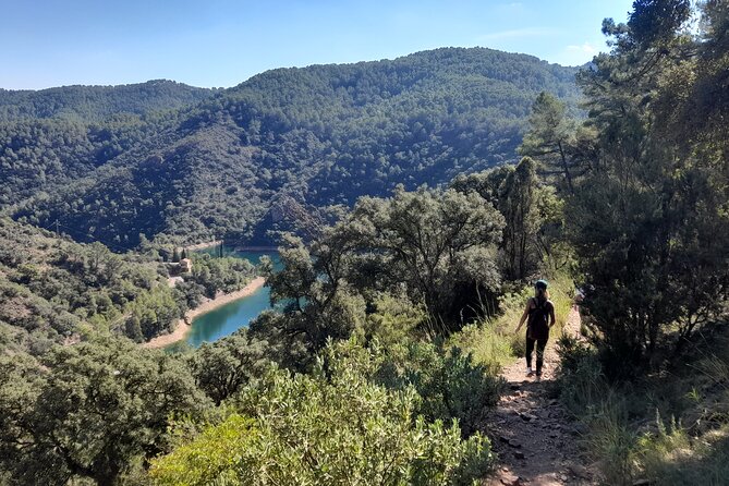 Hike to Spectacular Lookout of Órganos De Benitandús - Frequently Asked Questions