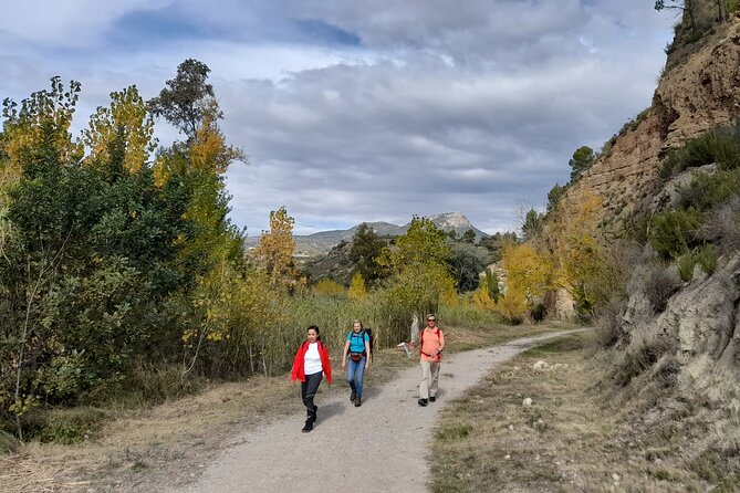 Hike to the Roman Aqueduct Peña Cortada - Route Directions