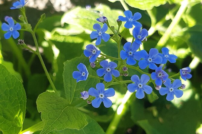 Hike to Visegrád Castle With Danube Bend Views + Sauna Session - Additional Details