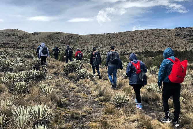 Hike Tour Sumapaz Paramo, the Largest Paramo in the World! - Traveler Experience