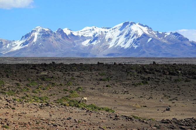 Hike - Trek Colca Canyon 2d/1n With Final in Puno - Cancellation Policy