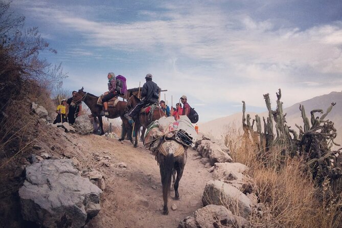 Hike - Trek Colca Canyon 2d/1n With Final in Puno - Pricing and Reviews