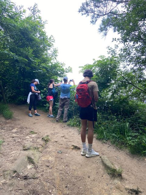 Hike Ulia San Sebastian: El Camino De Santiago (The Way) - Booking Details for the Hike