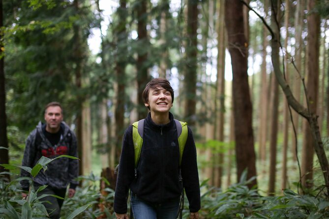 Hike up Mt. Omine and Enjoy the View of Miyajima - Tips for a Memorable Hiking Experience