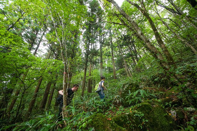 Hike up Mt. Omine and Enjoy the View of Miyajima - The Sum Up
