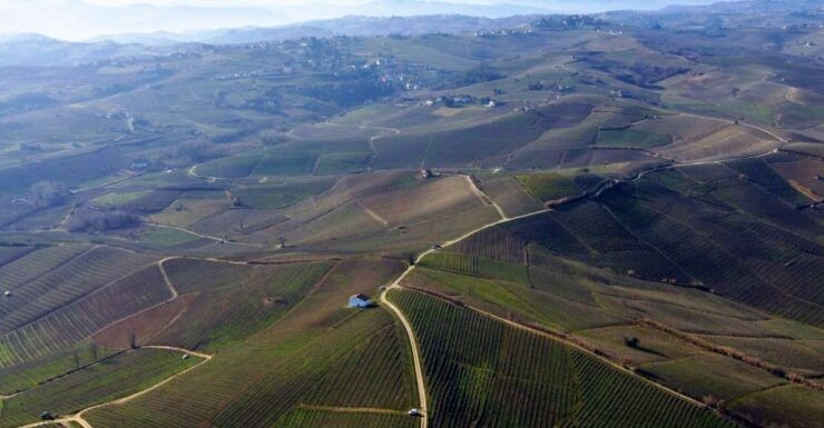 Hike & Wine in Monferrato UNESCO - Discover Cantina Maranzanas Vineyards