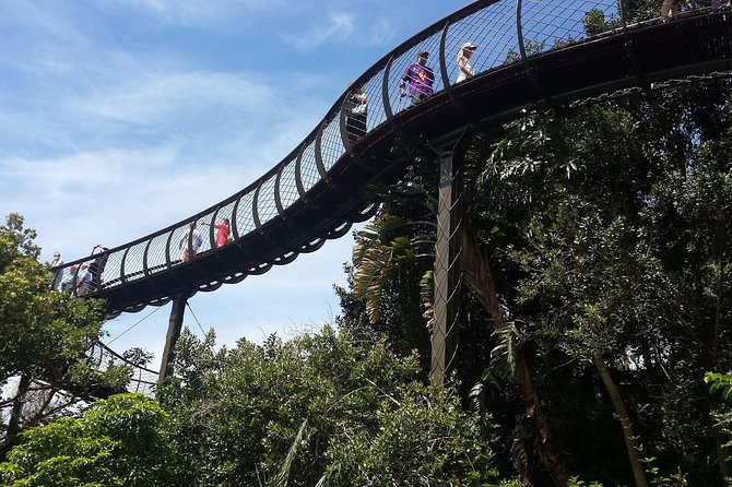 Hike & Wine" - Table Mountain, Kirstenbosch and Constantia - Cancellation Policy