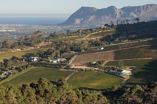 Hike & Wine" - Table Mountain, Kirstenbosch and Constantia - Directions