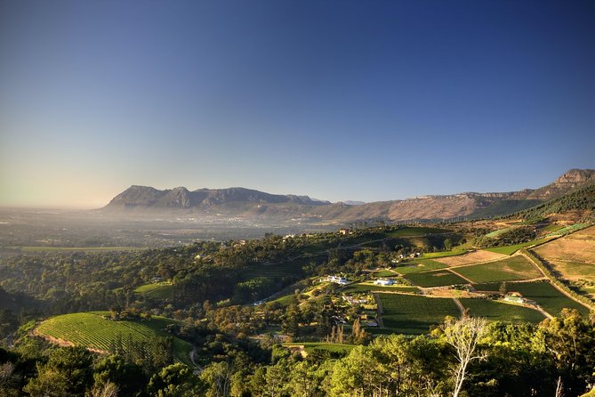 Hike & Wine" - Table Mountain, Kirstenbosch and Constantia - The Sum Up