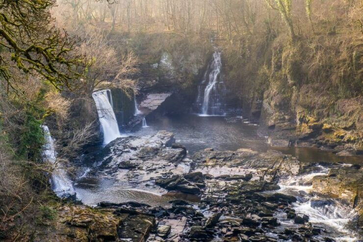 Hike World Heritage Reserve Waterfalls - Activity Information