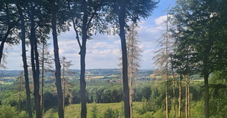 Hikes Through the Tecklenburger Town, Spa, and Herb Garden. - Key Points