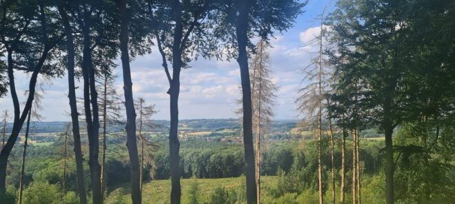 Hikes Through the Tecklenburger Town, Spa, and Herb Garden. - Guided Tour Information