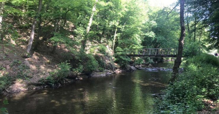 Hikes With a Picnic Backpack in the Ardennes - Activity Details