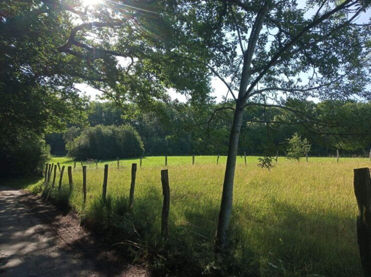 Hikes With a Picnic Backpack in the Ardennes - Reservation and Cancellation Policy
