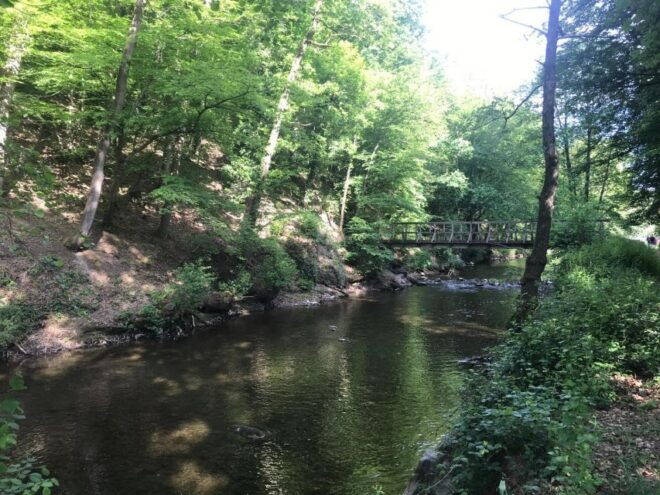 Hikes With a Picnic Backpack in the Ardennes - Walk Options