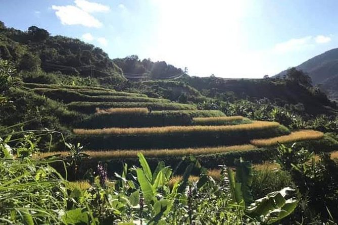 Hiking 2 Days 1 Night ,The Pakheo Trek - Hiking Routes and Itinerary