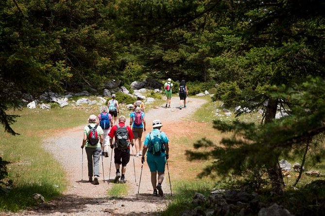 Hiking Above Kalamata - Tips for a Safe and Enjoyable Hiking Experience