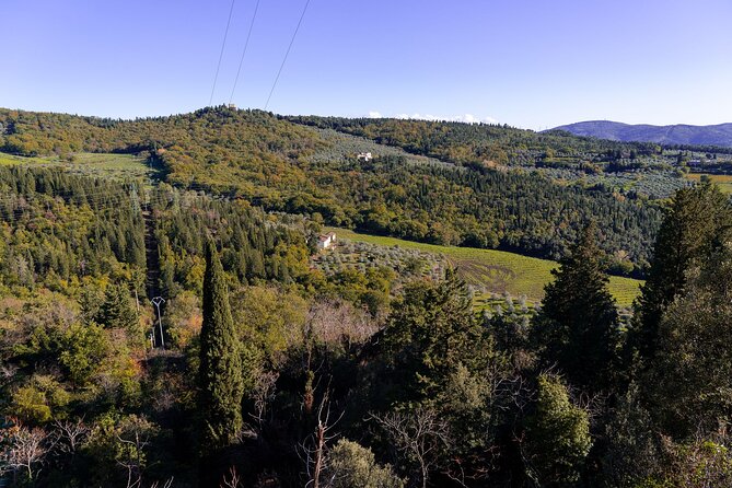 Hiking Activity in Fiesole - Meeting and Pickup Details