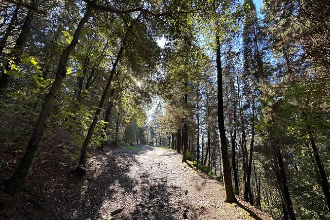 Hiking Activity in Fiesole - Directions and Tips