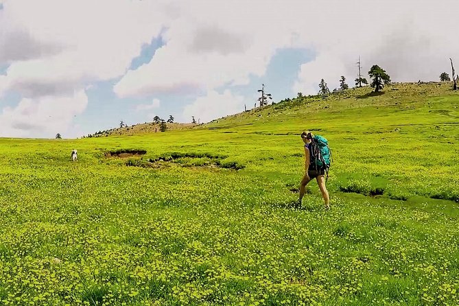 Hiking Activity to Flenga Peak and Dragon Lakes - Recommended Tours and Guides