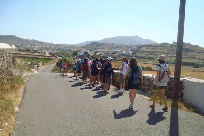 Hiking Adventure in Mykonos With Lunch Option - Highlights and Positive Reviews