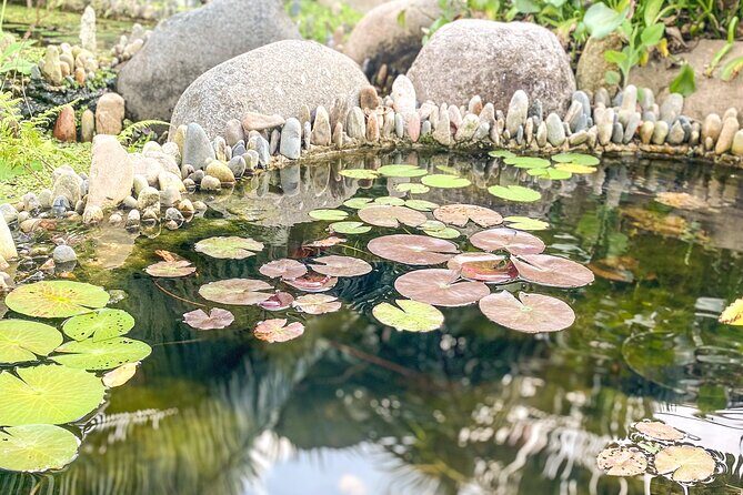 Hiking Adventure in Puerto Vallarta - The Sum Up