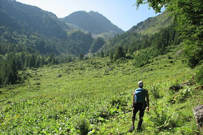 Hiking Adventure in Sharri - Meeting and Pickup