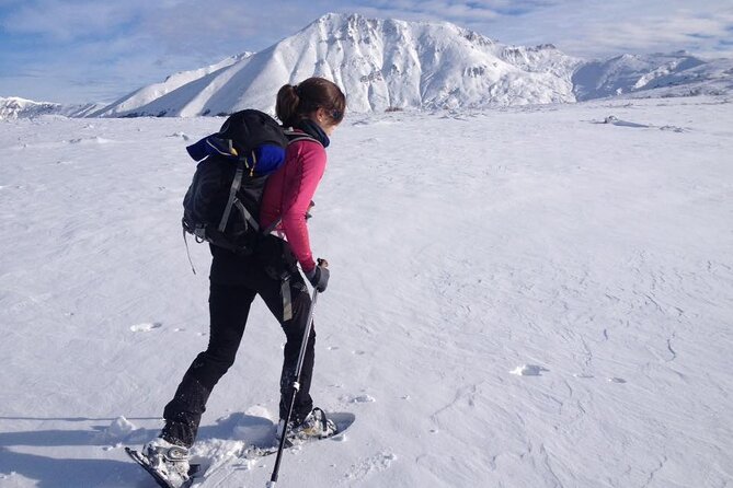 Hiking Adventure in Sharri - Available Activities
