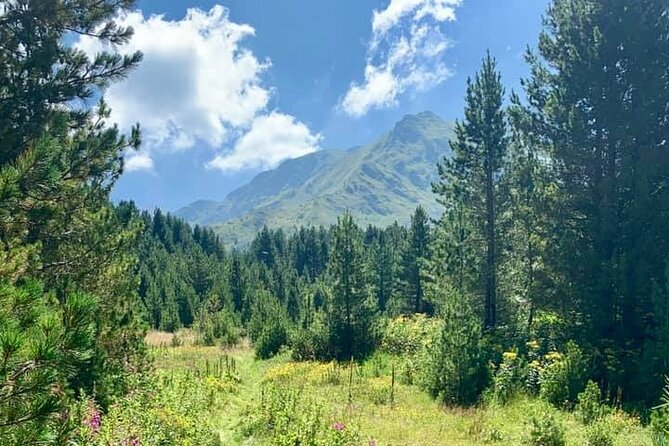 Hiking Adventure in Sharri - Price and Booking