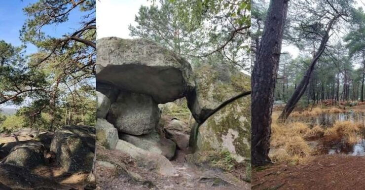 Hiking Adventure in the Fontainebleau Forest - Itinerary and Travel Logistics