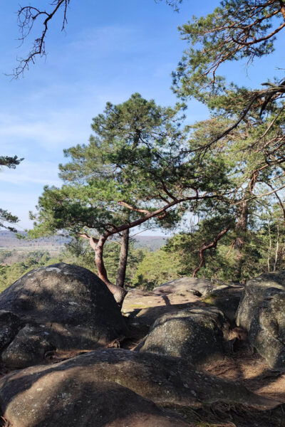 Hiking Adventure in the Fontainebleau Forest - Essential Packing List