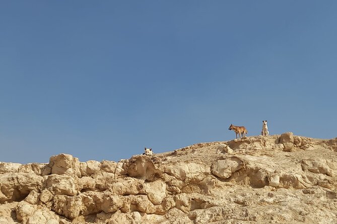 Hiking Adventure in the Heart of Cairo - Equipment and Attire
