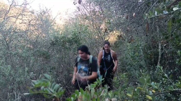 Hiking Adventure in the Magical Forest of La Zaurdilla - Good To Know