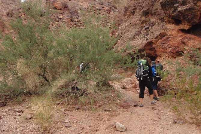 Hiking Adventure in White Rock Canyon and Desert Hot Springs - Ancient Petroglyphs and Colorado River