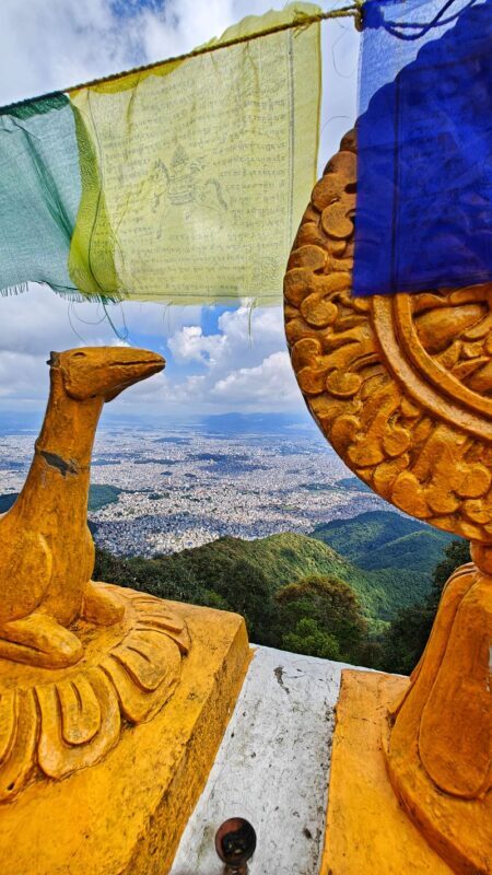 Hiking Adventure near Kathmandu- Choose a trail from the List - Shivapuri National Park: the fullest forest day