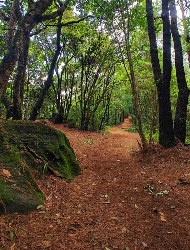 Hiking Adventure near Kathmandu- Choose a trail from the List - What the guide and included price add