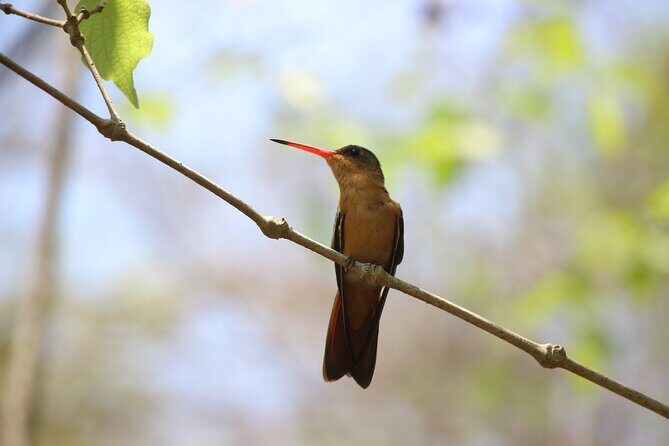 Hiking Adventure: River Trails & Waterfall Wonders - Good To Know