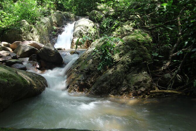 Hiking Adventure: River Trails & Waterfall Wonders - Discovering Puerto Vallarta’s Natural Beauty