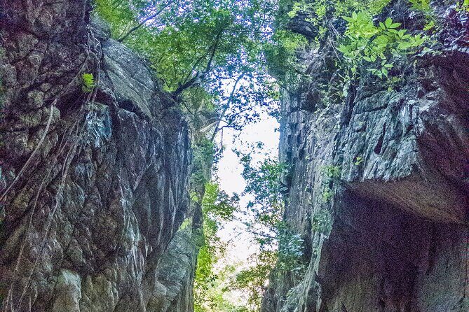 Hiking Adventure: River Trails & Waterfall Wonders - What To Expect From the Water and Terrain