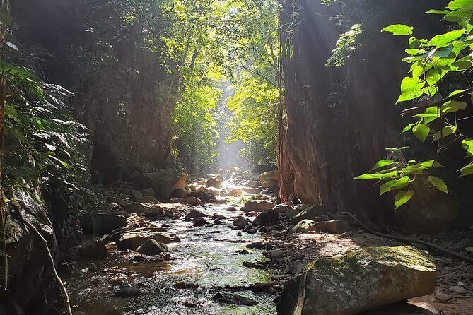 Hiking Adventure: River Trails & Waterfall Wonders - Authentic Experiences and Surprising Highlights