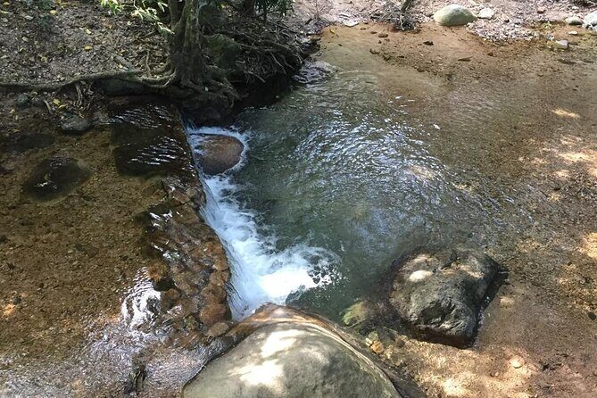 Hiking Adventure: River Trails & Waterfall Wonders - Considerations and Tips