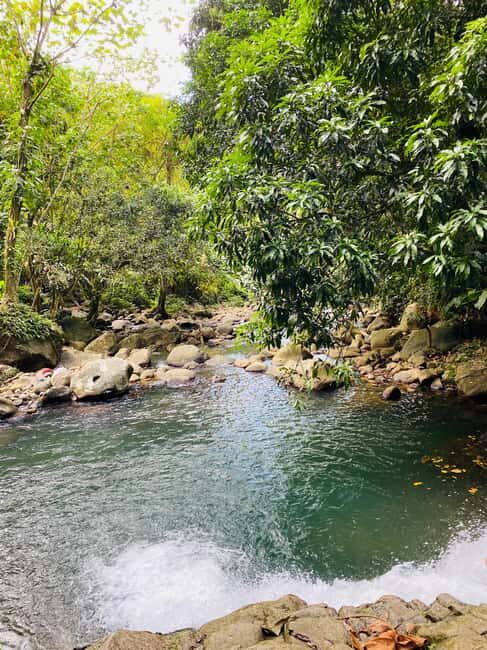 Hiking Adventure - A Deep Dive into the Rainforest Hiking Experience in Grenada