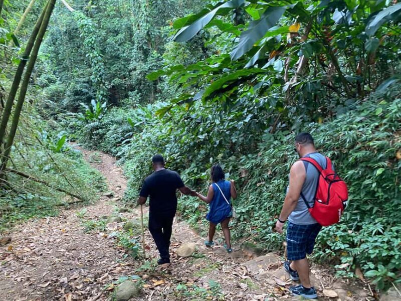 Hiking Adventure - The Sum Up