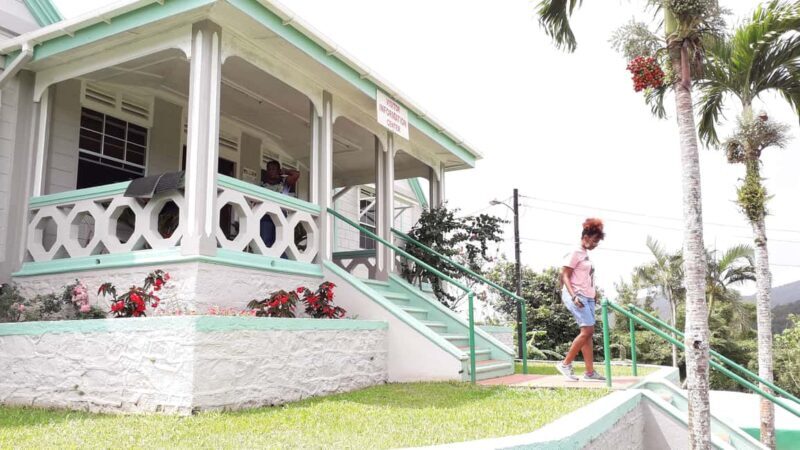 Hiking Adventure Through Grand E'tang RainForest - Hiking Adventure Through Grand Etang RainForest: An In-Depth Review