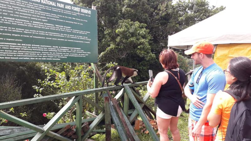 Hiking Adventure Through Grand E'tang RainForest - Good To Know