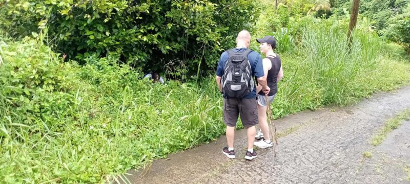 Hiking Adventure Through Grand E'tang RainForest - FAQs