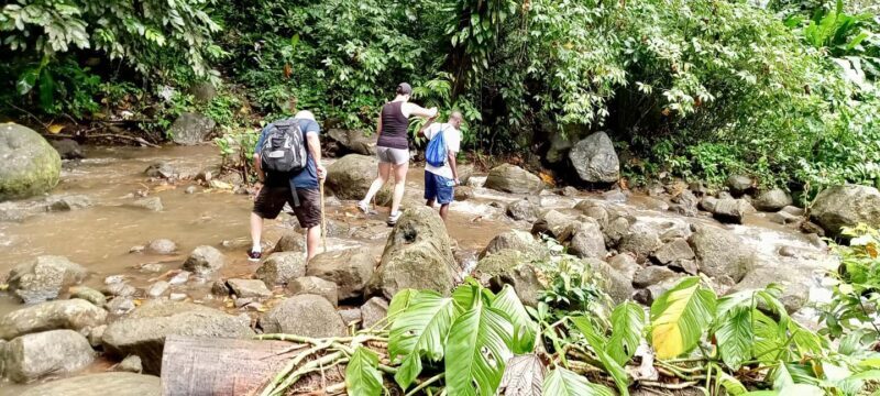 Hiking Adventure Through Grand E'tang RainForest - Final Verdict
