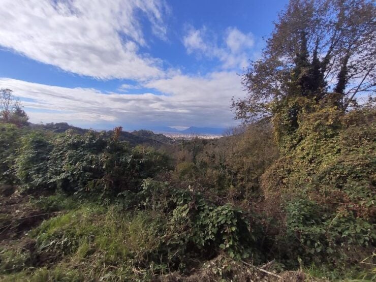 Hiking Among the Vineyards of Superga Hill - Activity Details