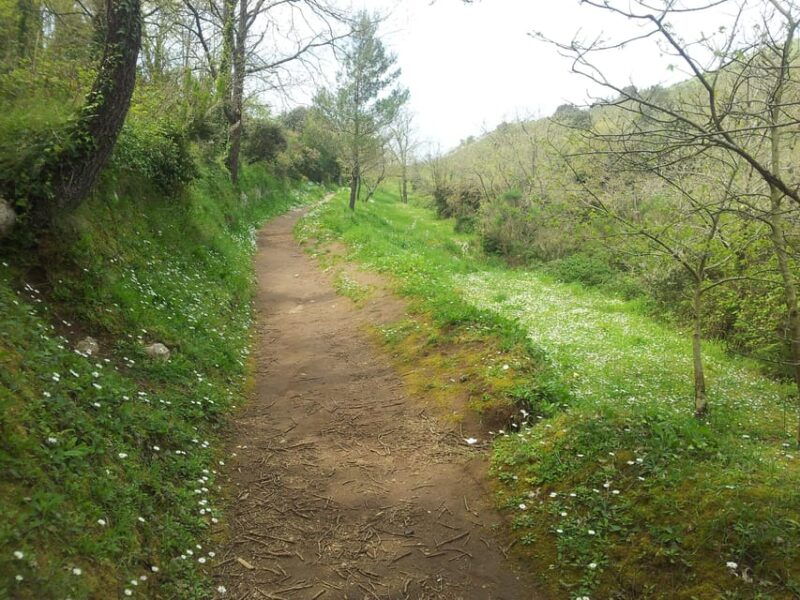 Hiking Anacapri:discover nature away from the crowds,ascent to MonteSolaro - Good To Know